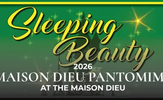 sleeping beauty pantomine poster