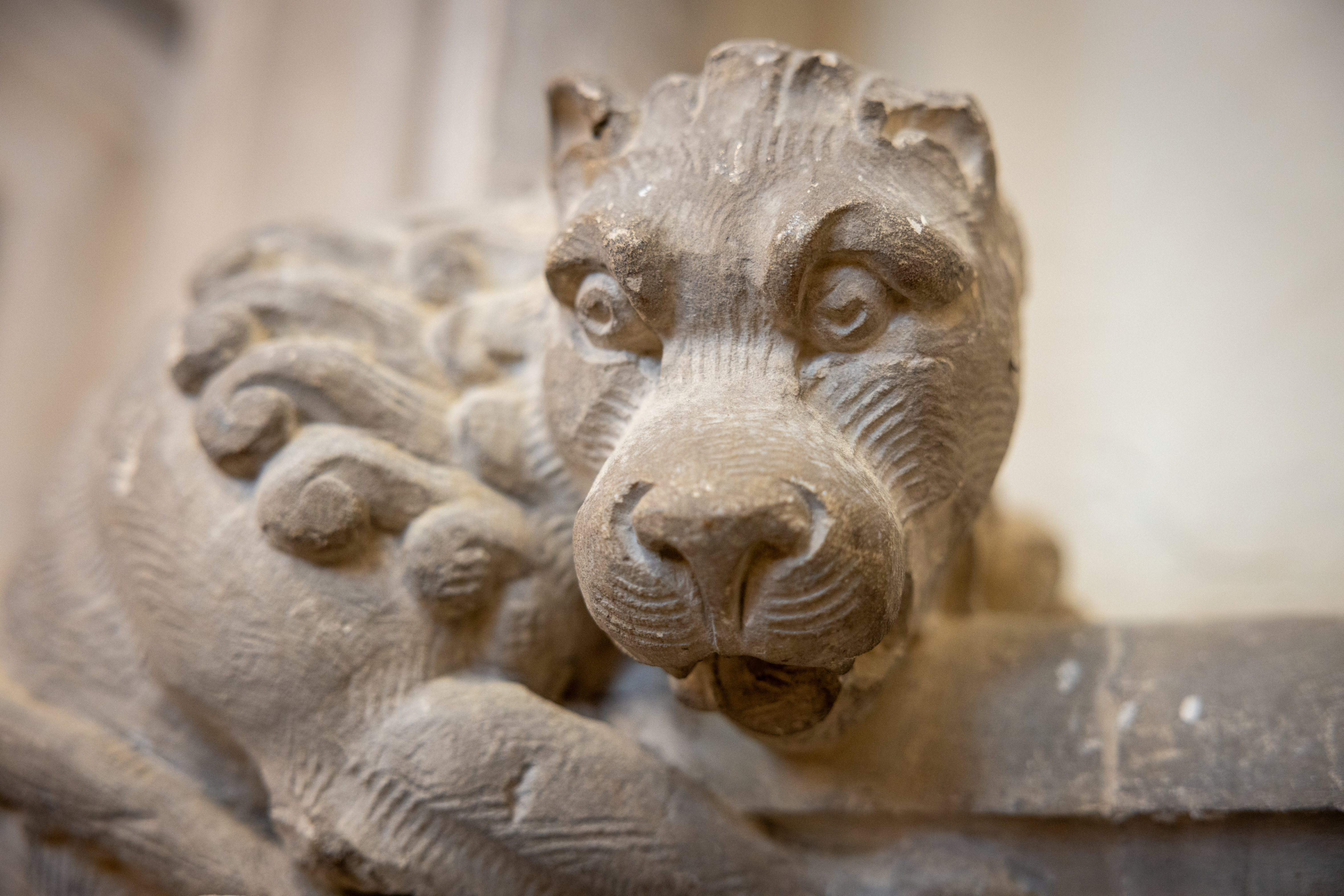 Grotesque  in the Stone Hall